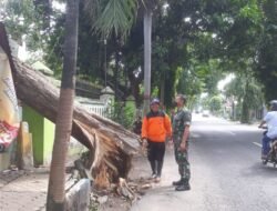 Rumah Warganya Tertimpa Pohon, Serma Rudianto Ajak Warga Kerja Bakti.