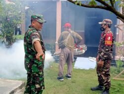 Antisipasi Penyebaran Demam Berdarah, TNI Lakukan Penyemprotan Fogging