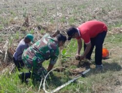 Babinsa Grogol Koramil 0814/02 Diwek Ikut Serta Menanam Pohon