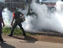 Antisipasi Kasus DBD Babinsa Ketemasdungus Bareng UPT Puskesmas Puri Lakukan Fogging