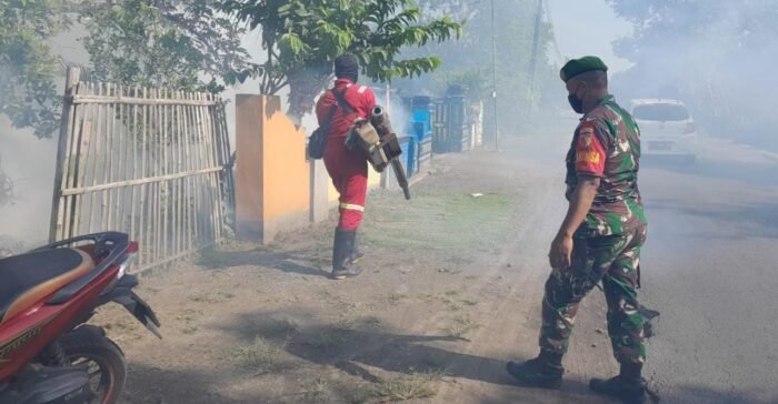 Babinsa Grogol Koramil 0814/02 Diwek Lakukan Pendampingan Fogging Di Desa Binaan