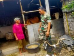 Kegiatan Pemantauan Kandang Sapi Antara Dinas Peternakan Bersama Koramil 0814/01 Kota Jombang Yang Sudah Divaksin