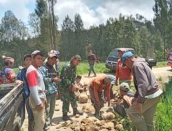 Perbaiki Jalan Penghubung Antar Dusun, Pelda Ridoi Prioritaskan Peningkatan Ekonomi