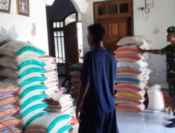 Jaga Ketahanan Pangan, Babinsa Koramil 0814/11 Sumobito Cek Gudang Beras Wilayah Binaan