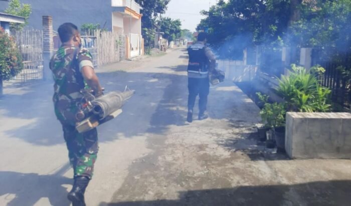 Musim Penghujan, Babinsa Lakukan Fogging Antisipasi Penyakit DBD