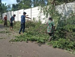 Gotong Royong Babinsa 0814/17 Wonosalam Bersama Warga Merapikan dan Tanam Pohon Untuk Tangkal Erosi Dan Longsor