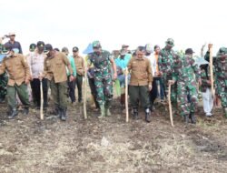 Kodim 0812 Lamongan Tanam Jagung Guna Dukung Program Ketahanan Pangan Nasional