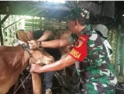 Babinsa 0814/06 Ploso Hadiri Kegiatan Musyawarah Desa