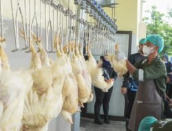 Diresmikan, RPH-U Lamongan Nomor 1 di Indonesia 