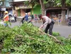 Curah Hujan Cukup Tinggi, Polres Mojokerto Bantu Amankan Pemotongan Pohon