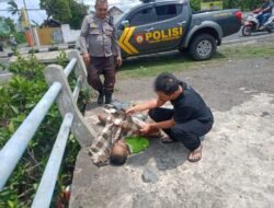 Penemuan sesosok mayat di purwosari