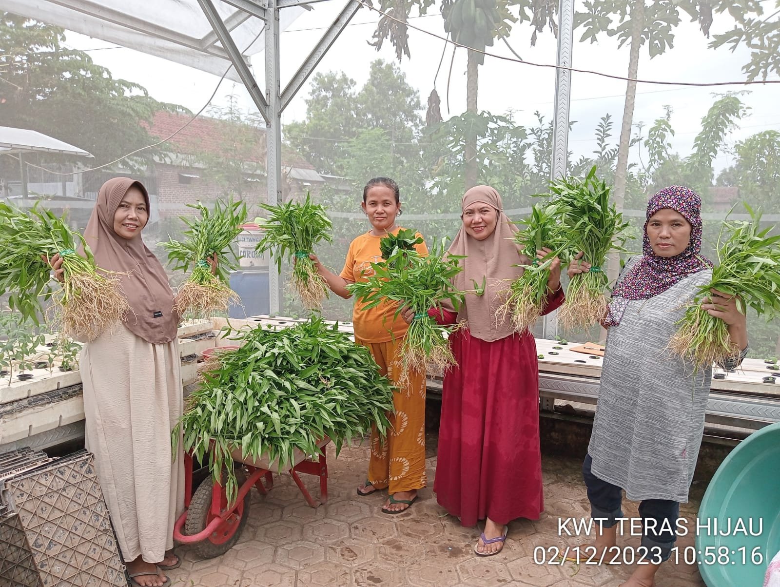 Geliat Urban Farming Di Tengah Masyarakat, Pj Wali Kota: Alternatif ...