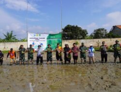 Dongkrak Produktivitas Padi, Dandim Sumenep Kembali Perluasan Areal Tanam di Pabian