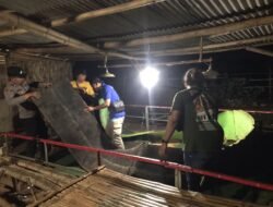 Polres Gresik Grebek Lokasi Diduga Sabung Ayam di Sidayu