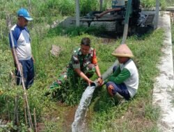 Babinsa Komsos Dengan Petani, Sebagai Wujud Kepedulian Guna Meningkatkan Hasil Pertanian