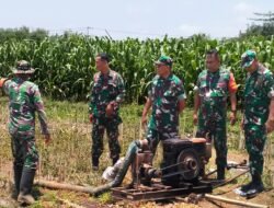 Letkol Inf Budi Santoso Tinjau Program Pompanisasi di Wilayah Koramil 0808/10 Kademangan