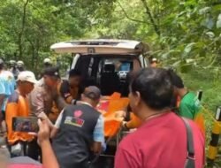 Ditemukan Mayat di Hutan Pacet, Kondisi Dikerumuni Tawon