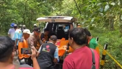 Ditemukan Mayat di Hutan Pacet, Kondisi Dikerumuni Tawon