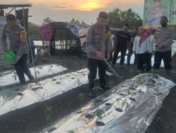 Gerakan Nyata Dukung Ketahanan Pangan, Polres Gresik Tanam Ribuan Bibit Cabai di Menganti