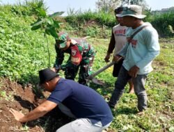 Menyatu Dengan Alam, Babinsa Sananwetan Tanam Pohon Bersama Di Tanggul Sungai Beru