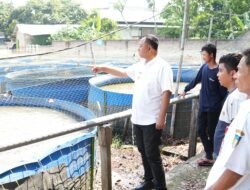 Intip Dua Produsen Lele, Pemkab Kediri Dorong Penguatan Nilai Jual