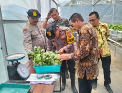 Kapolsek Krian Tinjau Program Ketahanan Pangan Di Desa Ponokawan