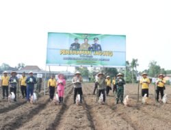Wujudkan Ketahanan Pangan Mandiri, Polres Blitar Kota Bersama Masyarakat Tanam Jagung Di Lahan Aset Polri