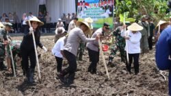 Kapolri Bersama Panglima TNI Tanam Jagung di Sidoarjo, Tandai Peluncuran Gugus Tugas Polri Dukung Ketahanan Pangan