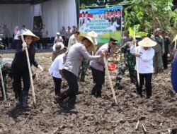 Kapolri Bersama Panglima TNI Tanam Jagung di Sidoarjo, Tandai Peluncuran Gugus Tugas Polri Dukung Ketahanan Pangan