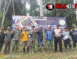 Hippam Tirta Mandiri Desa Wiyurejo Lakukan Reboisasi Untuk Jangka Panjang