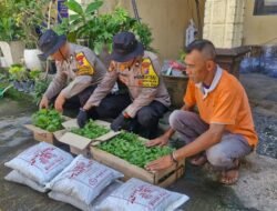 Polsek Balongbendo Salurkan Bibit Tanaman untuk Lahan Pangan Bergizi