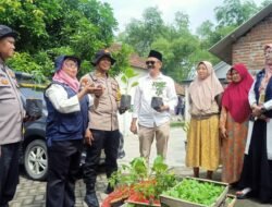 Penyerahan Bibit Tanaman dan Penyuluhan Ketahan Pangan di Desa Kemangsen Balongbendo