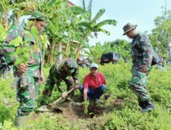 Jaga Kelestarian Alam, Jajaran Kodim 0812/Lamongan Tanam Pohon Serentak Di Beberapa Wilayah