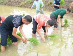 Lapas Lamongan Luncurkan Program Penanaman Padi untuk Pemberdayaan Warga Binaan