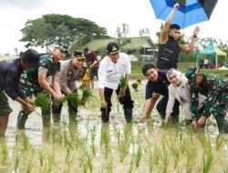 Pemkab Lamongan Bentuk Satgas Swasembada Pangan