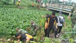 Forkopimka Sidoarjo Kota Bersihkan Sampah dan Enceng Gondok di Sungai Gebang