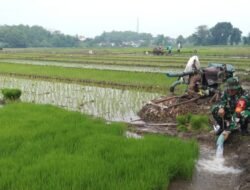 Wujudkan Hanpangan, Sinergi TNI dan Petani Optimalkan Pompanisasi