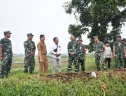 Dukung Produktivitas Hanpangan, TNI Turun di Area Persawahan