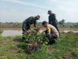 Antisipasi Banjir, TNI di Mojokerto Tanam 225 Pohon Mahoni dan Sukun
