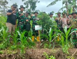 KMDH Jamas Wana Lestari Bersama Tentara Tanam 500 Pohon Berbuah di Sajen