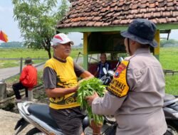 Hasil Program Pekarangan Bergizi, Polisi di Sidoarjo Bagi-bagi Sayur Kangkung ke Masyarakat