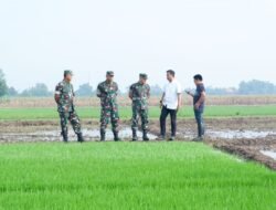 Lakukan Inovasi Menuju Swasembada Pangan, Danrem 082/CPYJ langsung Turun Lokasi Penanaman Padi Bibit Unggul