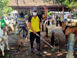 Cegah Wabah PMK, Pemkot Kediri Giat Lakukan Penyemprotan Disinfektan di Pasar Hewan