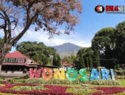 Menikmati Pesona Kebun Teh Wonosari di Lawang, Malang
