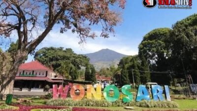 Menikmati Pesona Kebun Teh Wonosari di Lawang, Malang