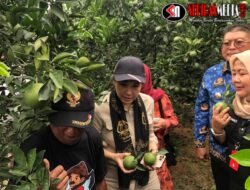 Veronica Tan Kunjungi Desa Kalisongo, Malang: Dukung Program Makanan Bergizi dan Ruang Kreativitas Anak Muda
