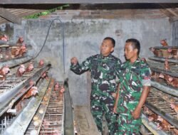 Dandim Mojokerto Tinjau Usaha Budidaya Ayam Petelur Anggotanya di Mojosari