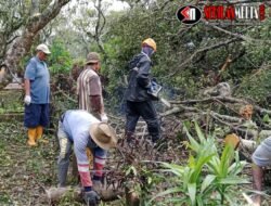Waspada Cuaca Ekstrem! Angin Kencang dan Longsor Terjang Kota Malang