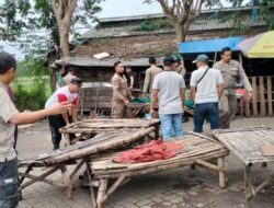 Gandeng Satpol PP, DKUPP Kabupaten Probolinggo Tata dan Tertibkan Pasar Buah Semampir