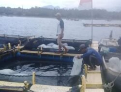 Polemik Jaring Pakis di Jembrana, Nelayan Diminta Beralih Ke Pola Tangkap Pancing dan Budidaya